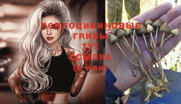 ALPHA-PVP Касимов