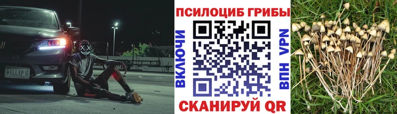 маркетплейс наркотические препараты  Нижний Тагил  Псилоцибиновые грибы мицелий  blacksprut рабочий сайт 
