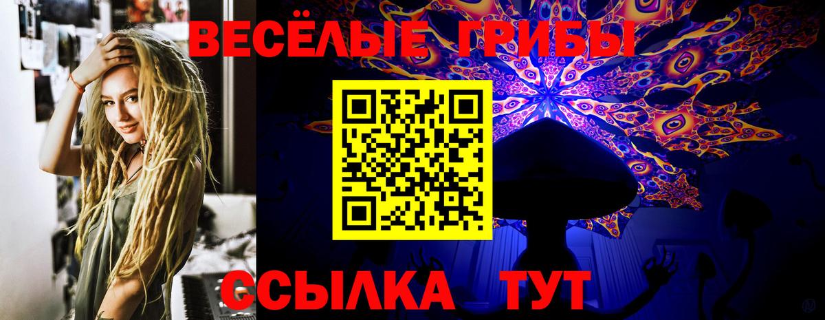 Галлюциногенные грибы MAGIC MUSHROOMS  где купить наркоту  Вход с VPN  Нижний Тагил  Псилоцибиновые грибы ЛСД 